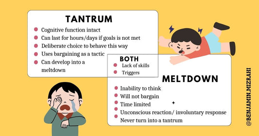 Temper Tantrums VS Meltdowns